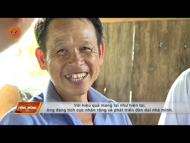 [TIẾNG MÔNG] PHÁT TRIỂN KINH TẾ TỪ CHĂN NUÔI DÚI Ở MƯỜNG TÈ | VTV5
