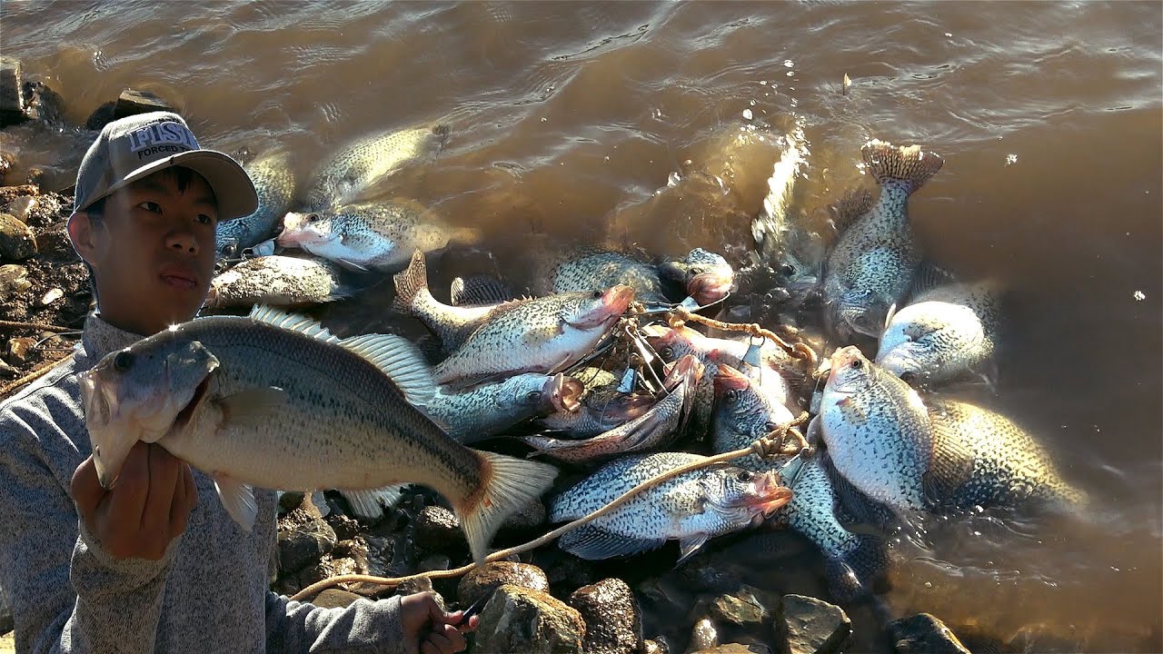 Crappie fishing – yos hav zoov hav dej nuv ntses mag zoo heev
