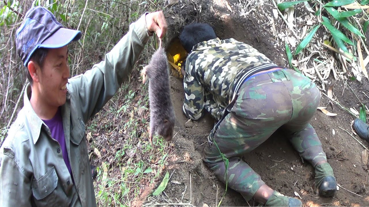 Yos hav zoov khawb nas kos