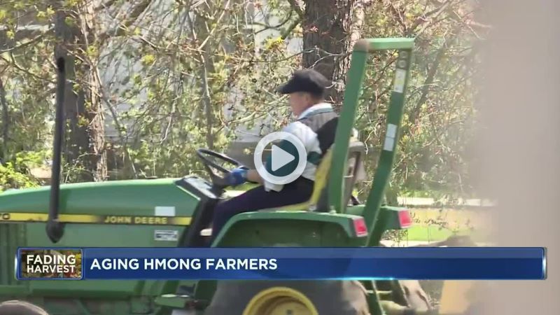 Aging Hmong producers grapple with future concerns