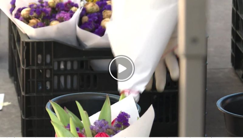 Aging Hmong farmers grapple with future