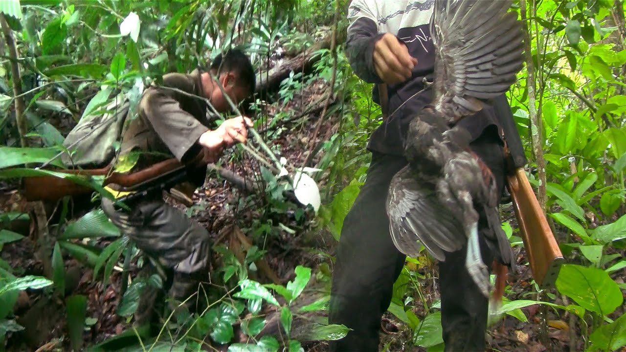 Hunting yos hav zoov kav qaib qus