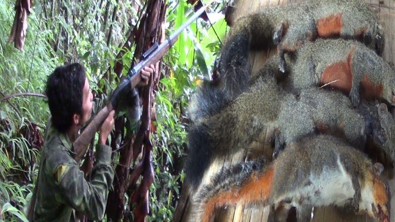 Hunting Yos Hav Zoov Tua Nas Tua Noog Noj Txiv