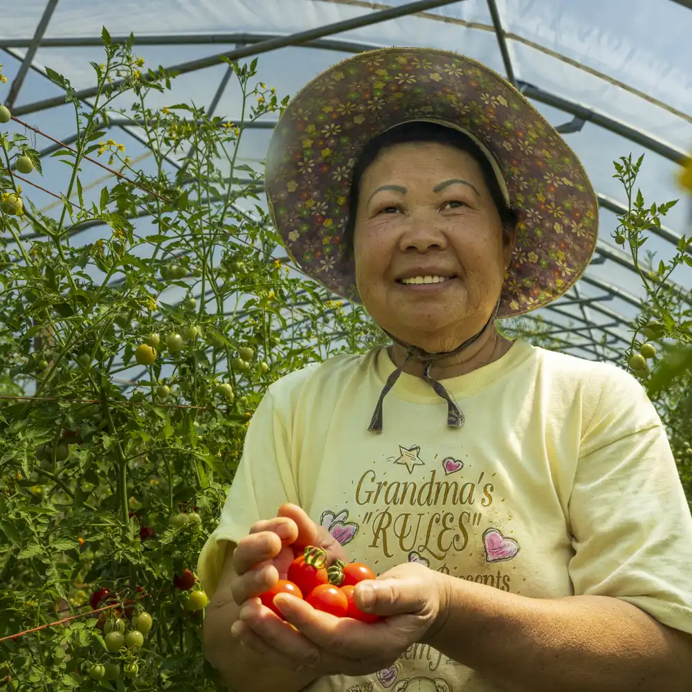 Hmong immigrants put down roots on Dakota County farmland