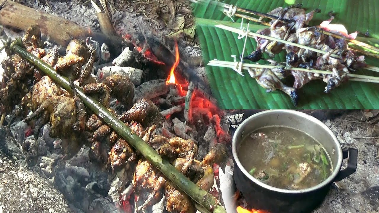Hunting wild chicken, Bird and cooking – Yos hav zoov tua qaib qus tua noog