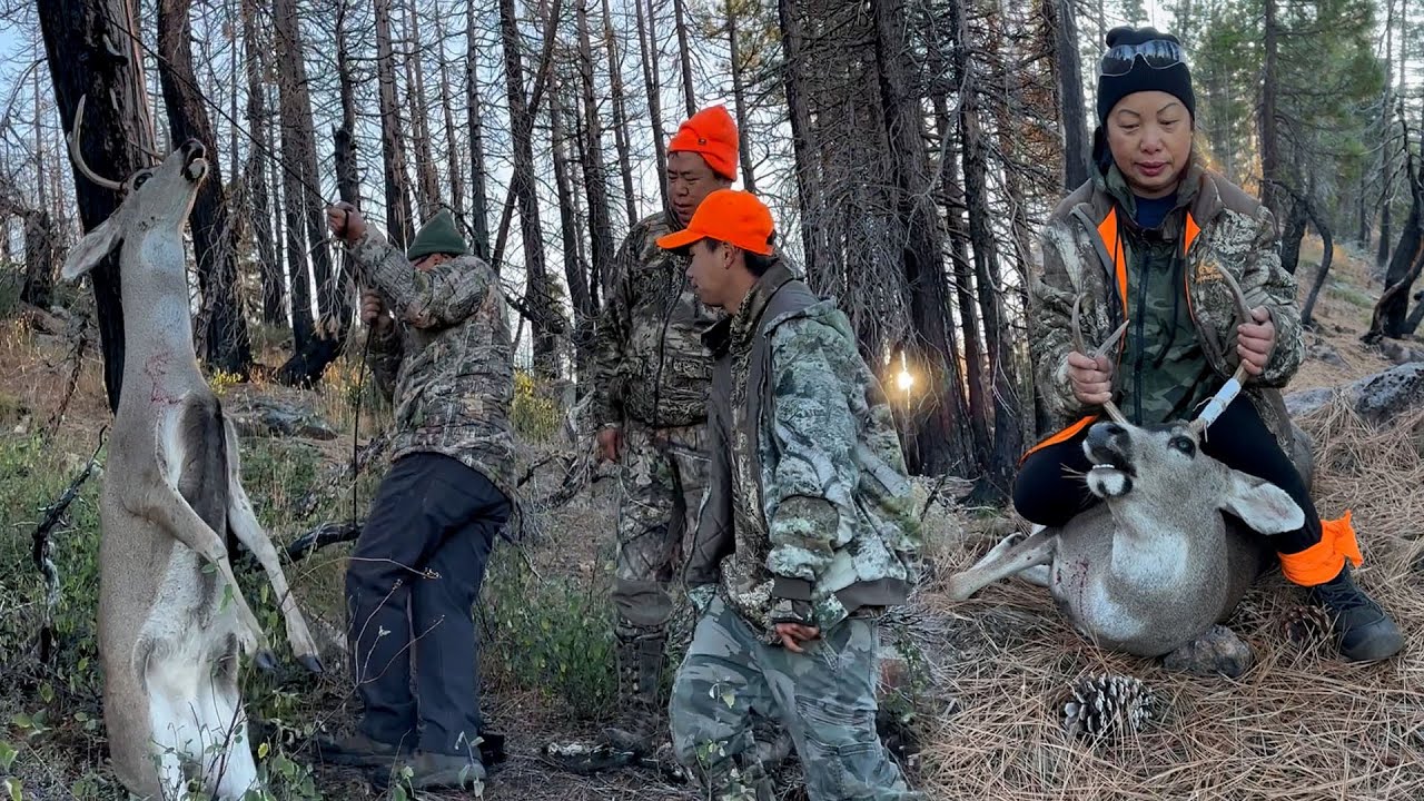 Hmong California Deer Hunting D Zone Last Day 2023