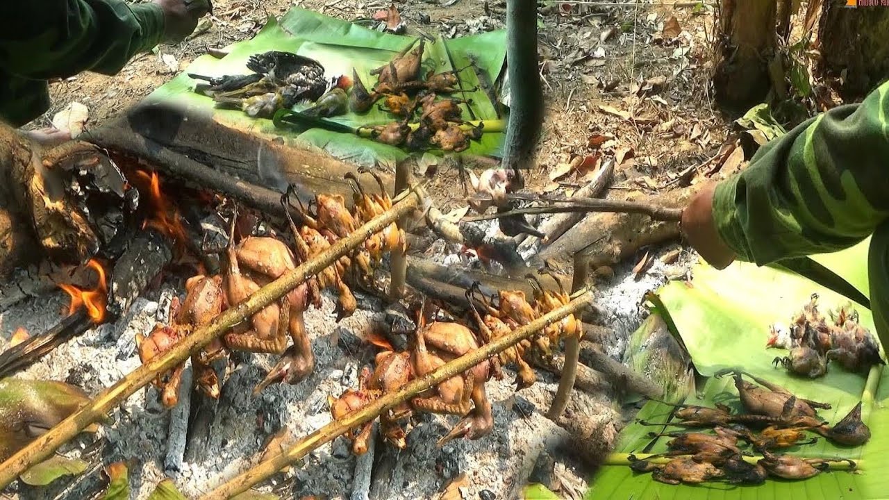 Bird hunting and cooking – Yos Hav Zoov Tua Noog Ci Noj Qab Heev