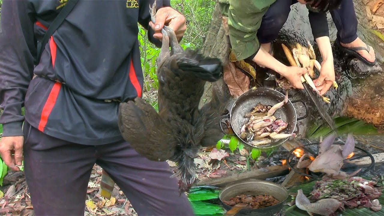 Hunting Wild Chicken and cooking in The Village – Hunting yos hav zoov kav qaib qus