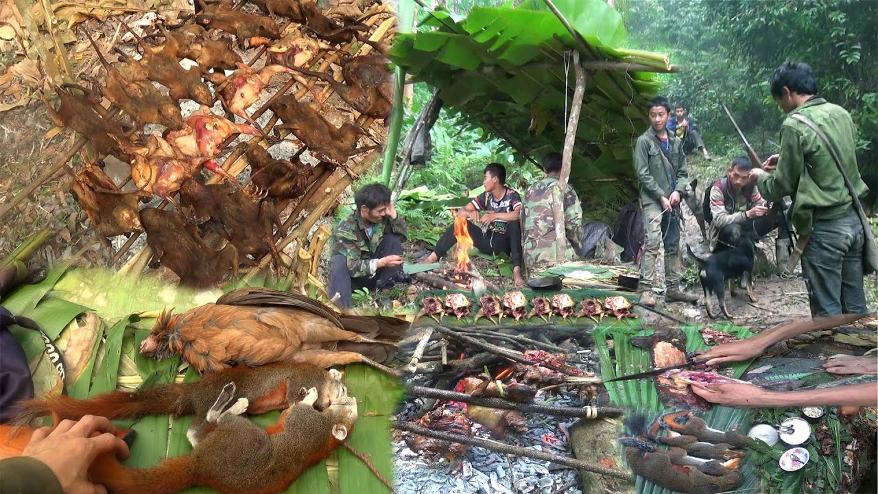 Hunting wild chicken and squirrel cooking in the Forest – Yos hav zoov tua qaib qus tua nas