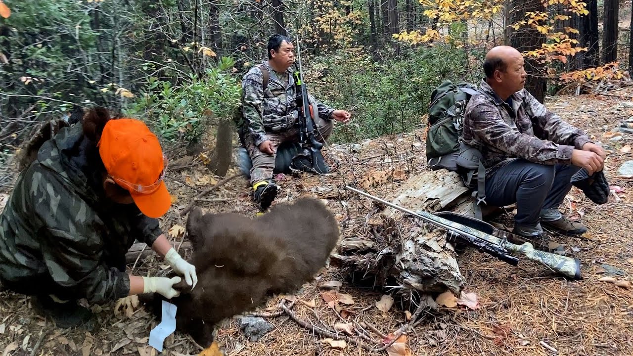 Bear Hunting C Zone 2023 – Yos Hav Zoov Tua Dais