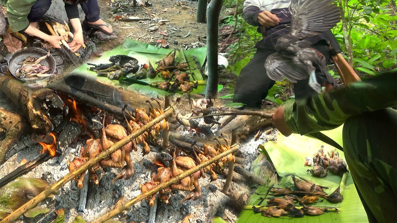 Hunting wild chicken and Bird cooking in the Forest – Yos hav zoov tua qaib qus tua noog