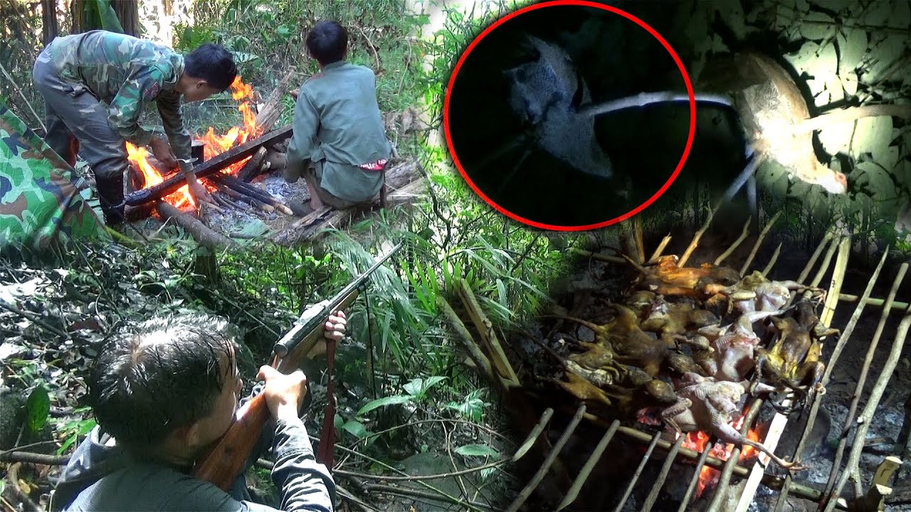 Night Hunting For Quail and Cooking in The forest – yos hav zoov tua yij pw chaw