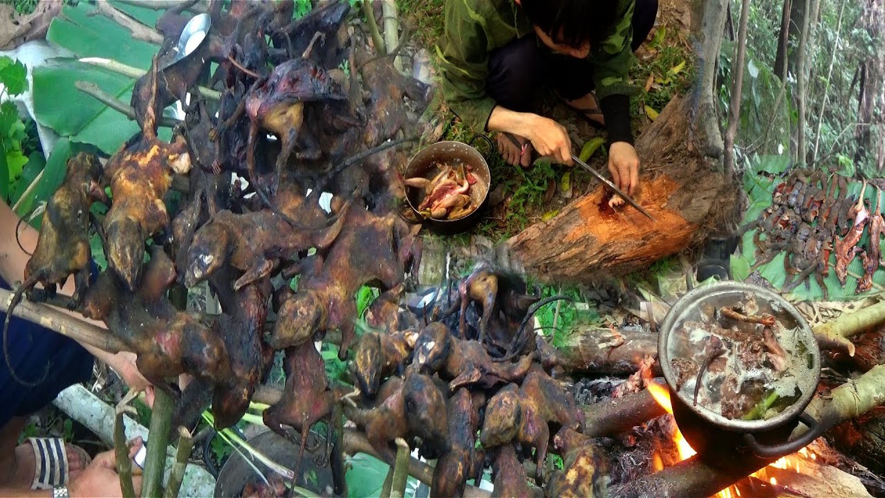 Hunting Squirrels and Cooking in The Forest – Yos have zoov tua nas