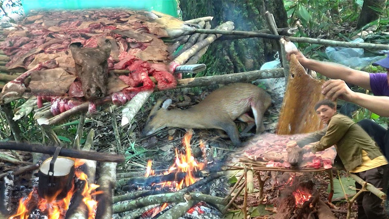 Hunting and Grilling Barking Deer and Squirrels in The Forest – Yos hav zoov tua kauv