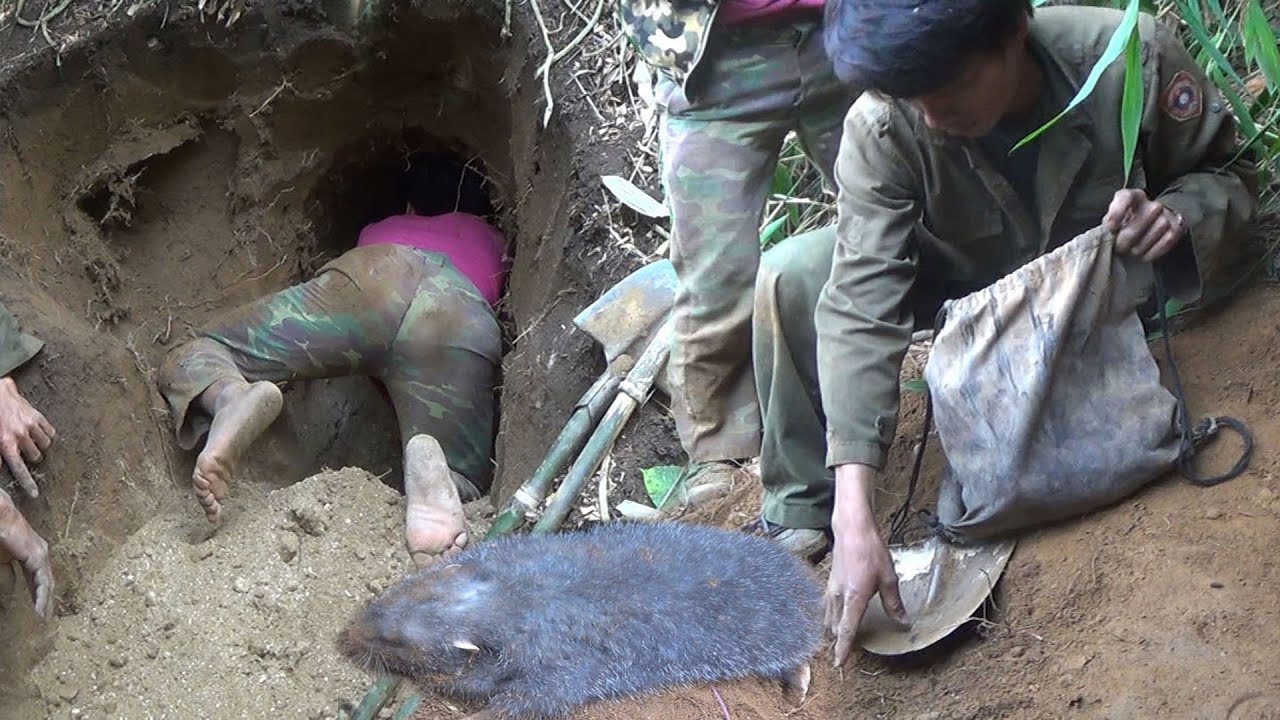 Digging for Gopher at Farmland – Yos hav teb khawv nas kos