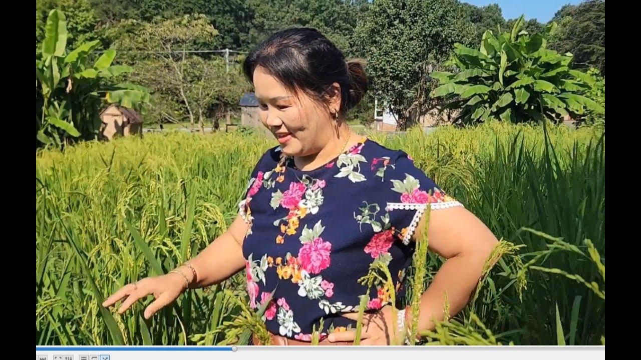 TEB NPLEJ NYOB NORTH CAROLINA / Tso khaws cia tau saib xwb 12/8/23