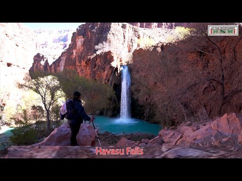 Havasu Falls (World Famous Hikes in the U.S.A) Backpacking to Havasupai Village & Havasu Falls pt.1