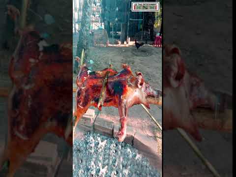 Rural Urban Roast Pig_(Roast pig in countryside style)_Ci  npua npab nauj noj txais xyoo tshiab