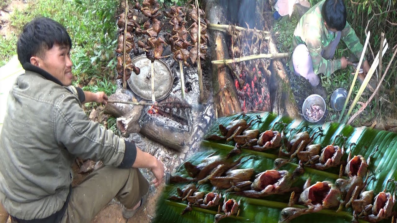 Hunting and Cooking Will Chicken, Squirrel and Birds in The Forest/yos hav zoov tua noog ci noj