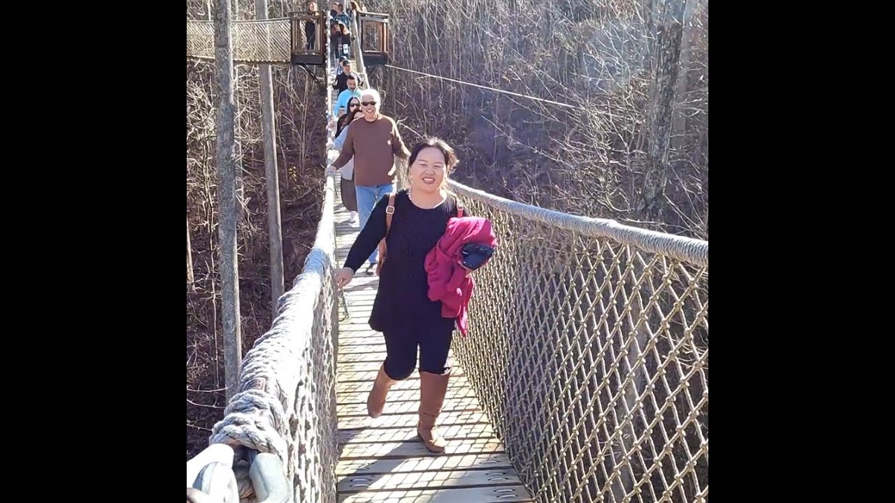 MUS UA SI TENNESSEE P 2 2024