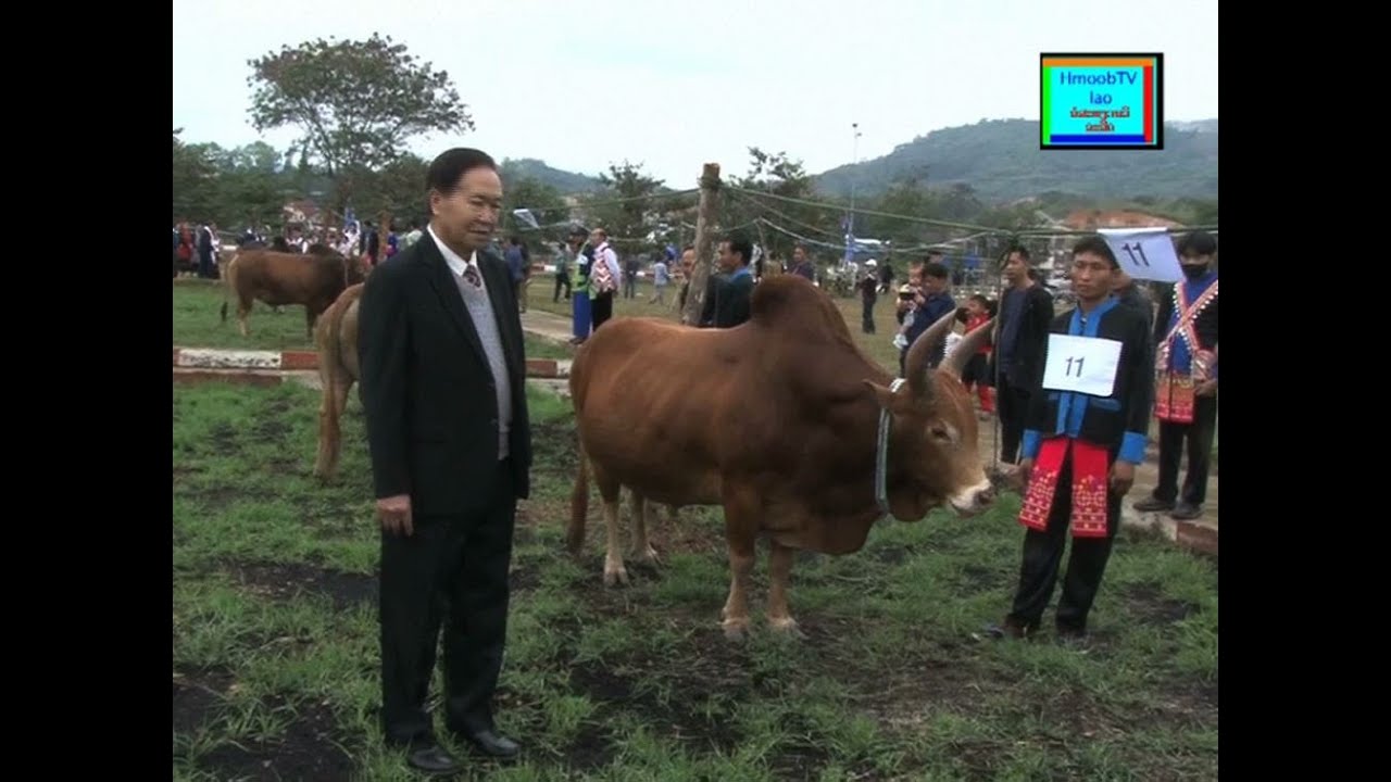 Hlob tsab hawj nyiaj pov mus  koom noj tsiab 30 nyob xeev ub dom xais 2024