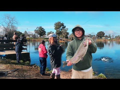 1,000 lbs of Trout FISH stock into the lake_Everyone fish up! Nuv ntseg lomzem tag2,tau cov luj2