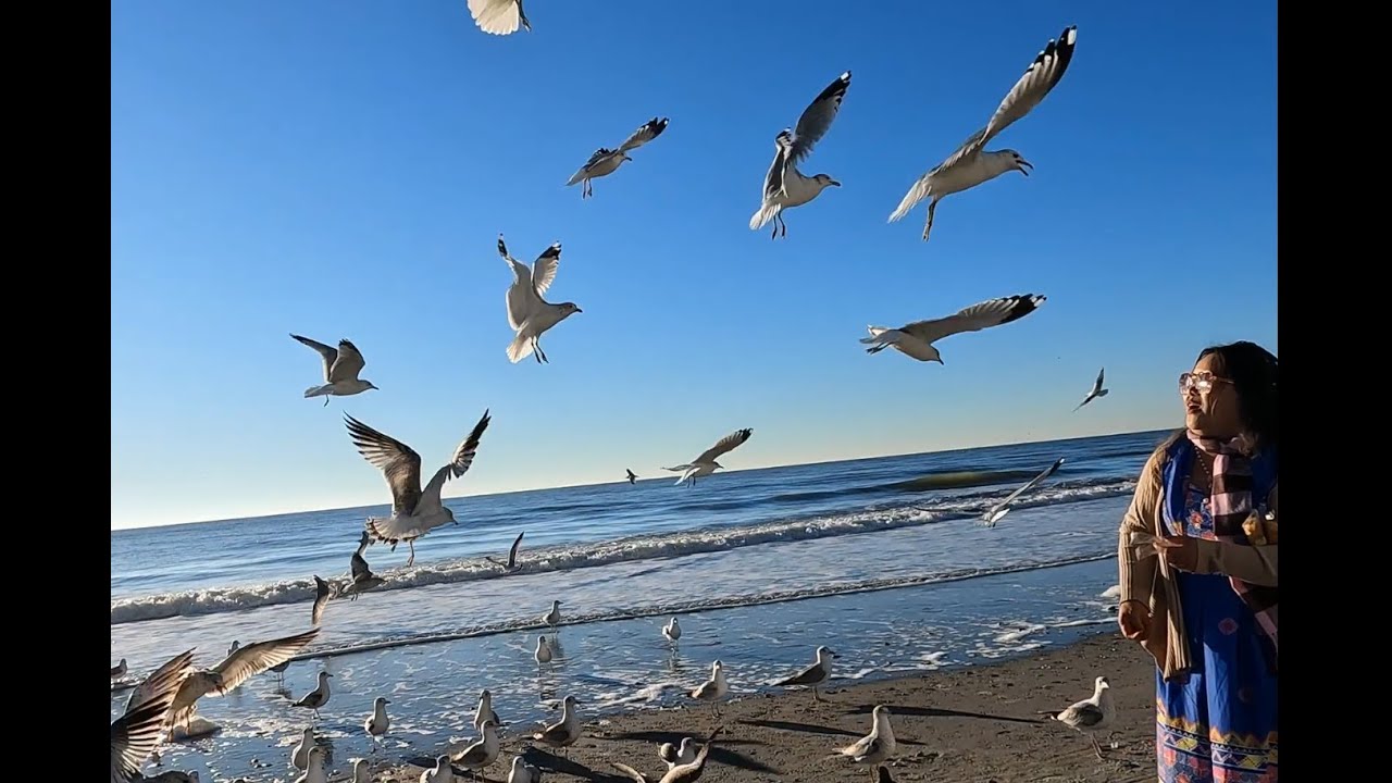 myrtle Beach (Mus  ua si tom Hiav Txwv 2024