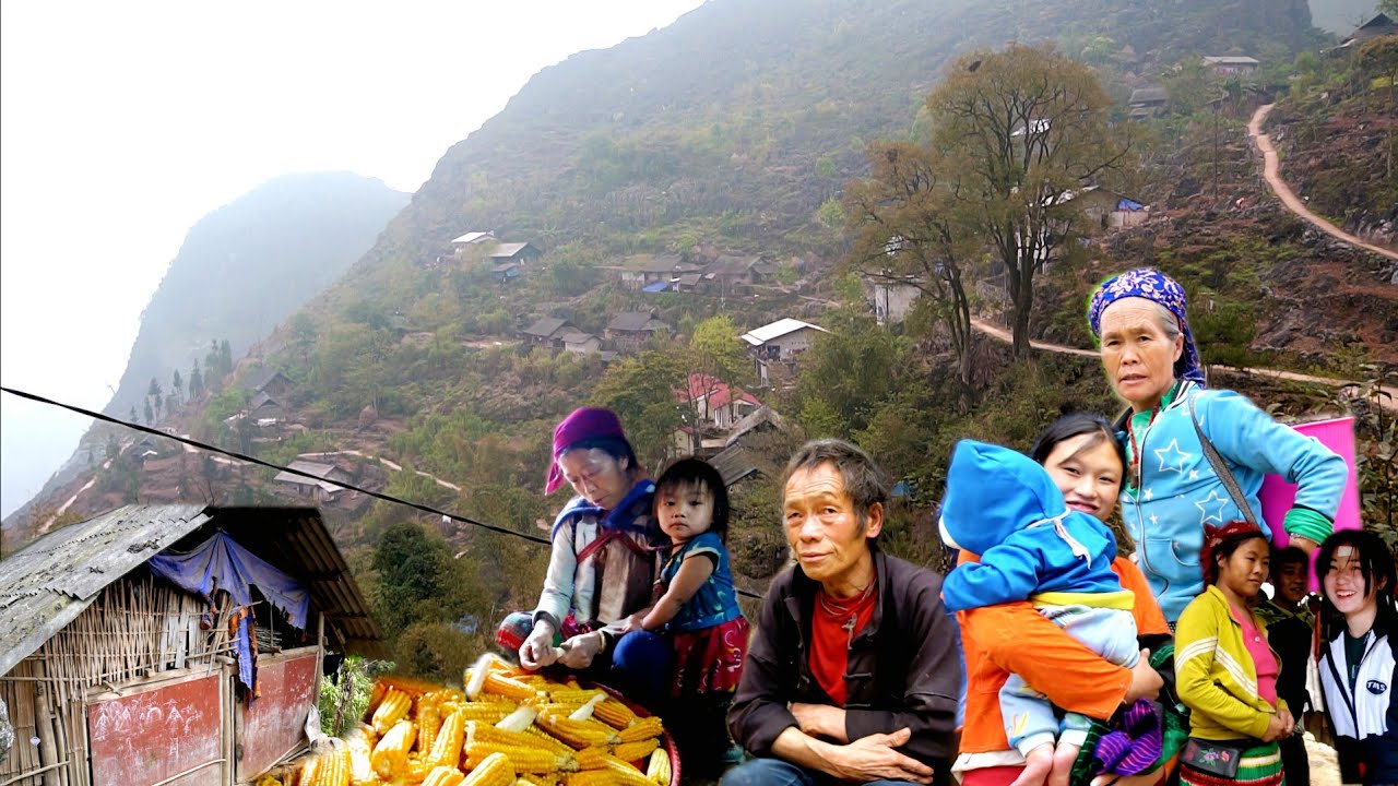 NCIG MUS ZOS YAJ NTXWV PHEEJ NYOB DAI TOJ ROOB ZEB  NTXHAB 2024