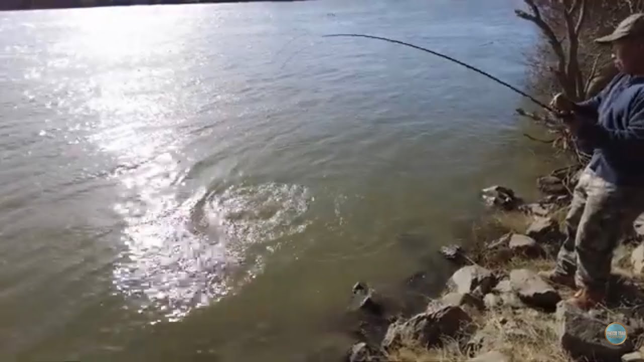 Striper fishing in Sacramento river 4/6/24