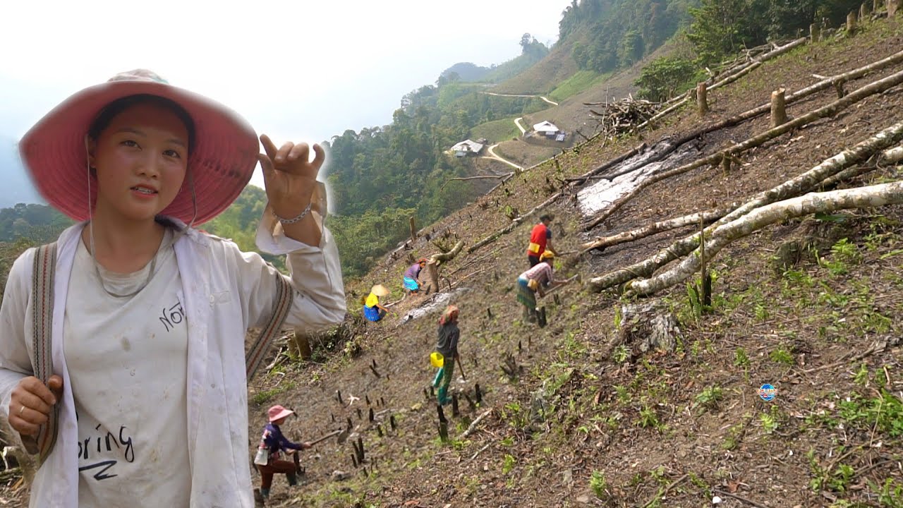 NCIG MUS SAIB ZOS PHEEB LEEJ  TSEEM TSIS TAU MUAJ FAIS FAB TAW 2024