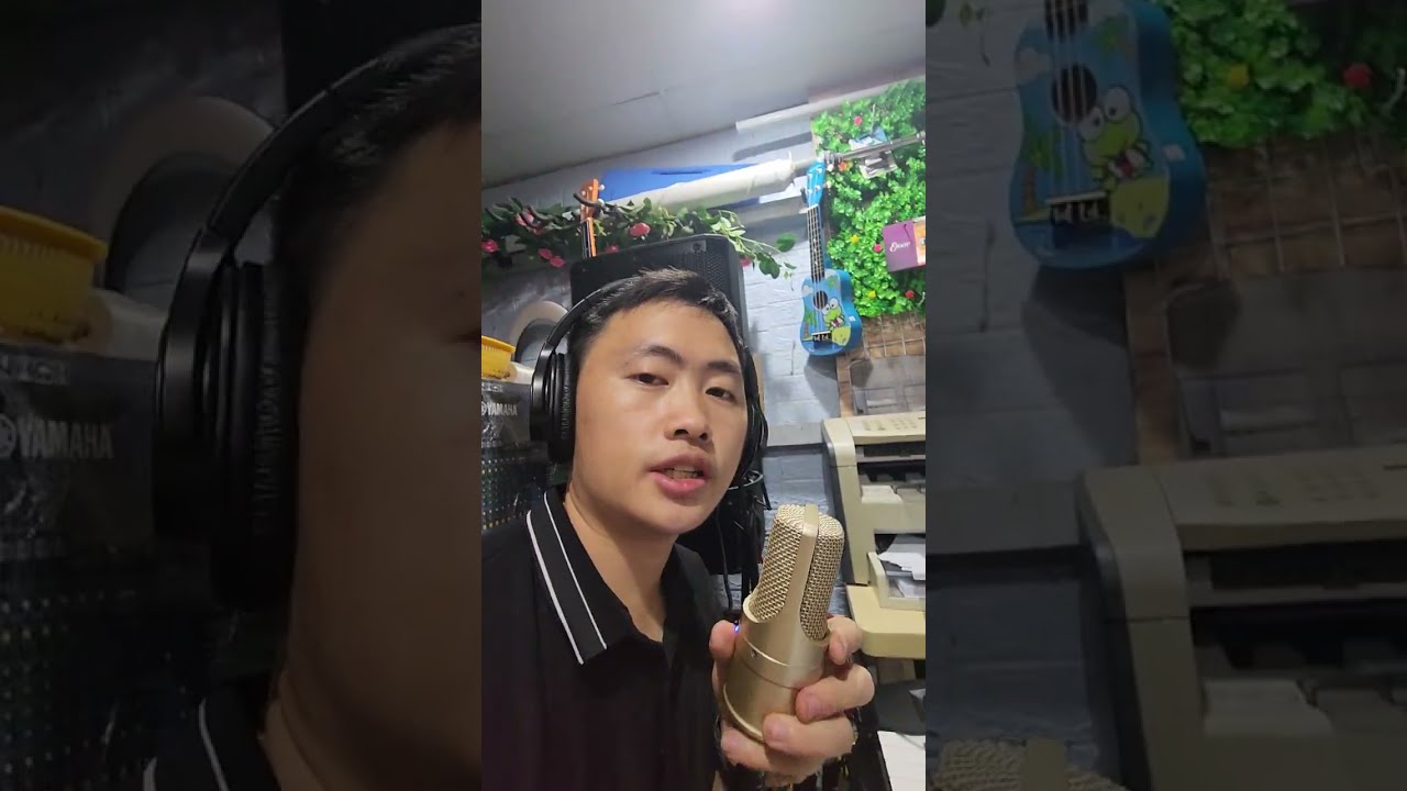 Qhia ib tug muam siv lub soundcard livestream