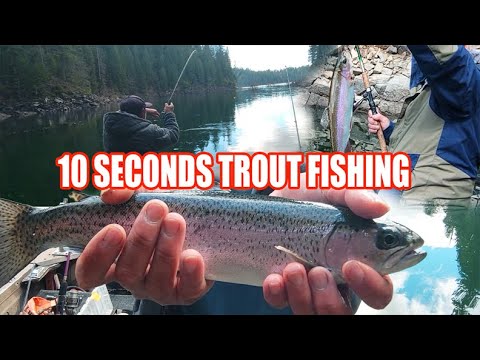 10 SECONDS TROUT FISHING-UNBELIEVABLE (CRAZY BITE)