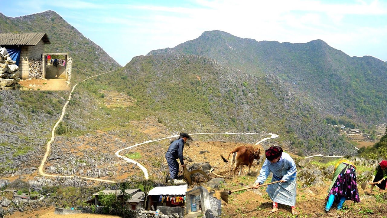 NCIG MUS ZOS POV TOJ QHOV DEJ ZOS TSOOM LUAJ ROOB ZEB 2024