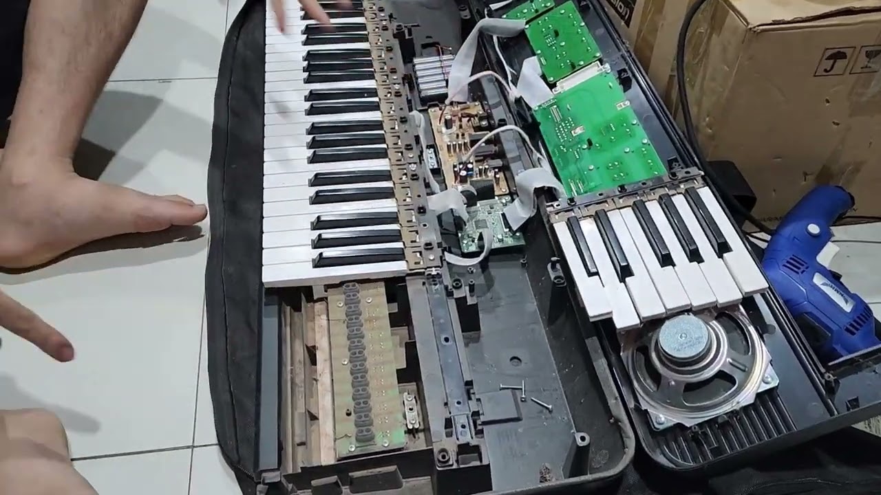 Qhia kho đàn Organ tuag nplaim || Thoob Ham