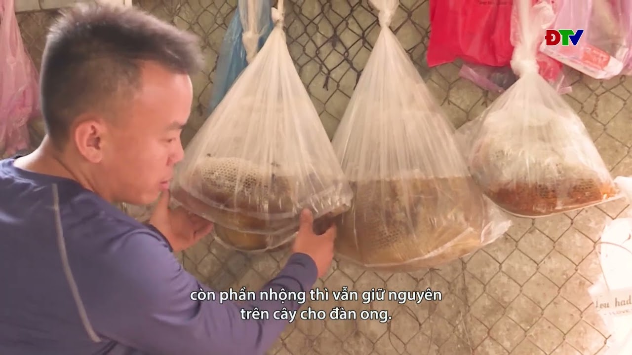 ĐIỆN BIÊN – Xov tooj cua lus Hmoob Dien Bien (Hnub 30-05-2024)