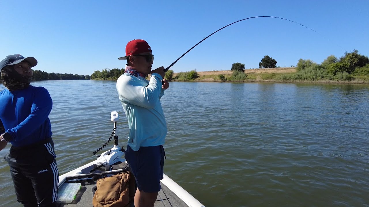 Striper fishing in feather river 5/ 26/ 24