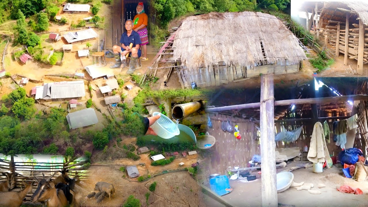 NCIG MUS SAIB ZOS HIB PWM NYOB SAUM PLAWV ZOOV 5/2024