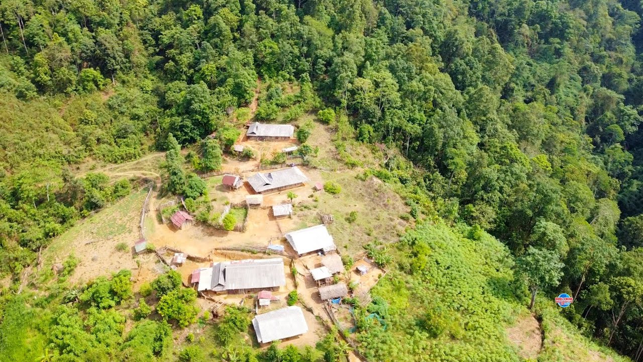 Raj Nplaim Ncaim Txiv Zaj Zog kho siab Zim xwb os ♥️