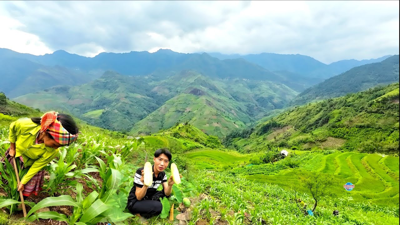 NCIG MUS ZOS LAJ YIJ HMOOB TOJ SIAB KEV UA NOJ HAUS 6 /2024