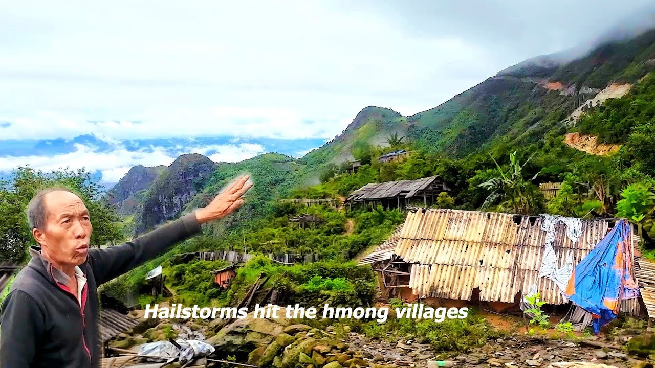 NCIG MUS SAIB ZOS HAV IAV HMOOB TOJ SIAB KEV NOJ HAUS 6/2024