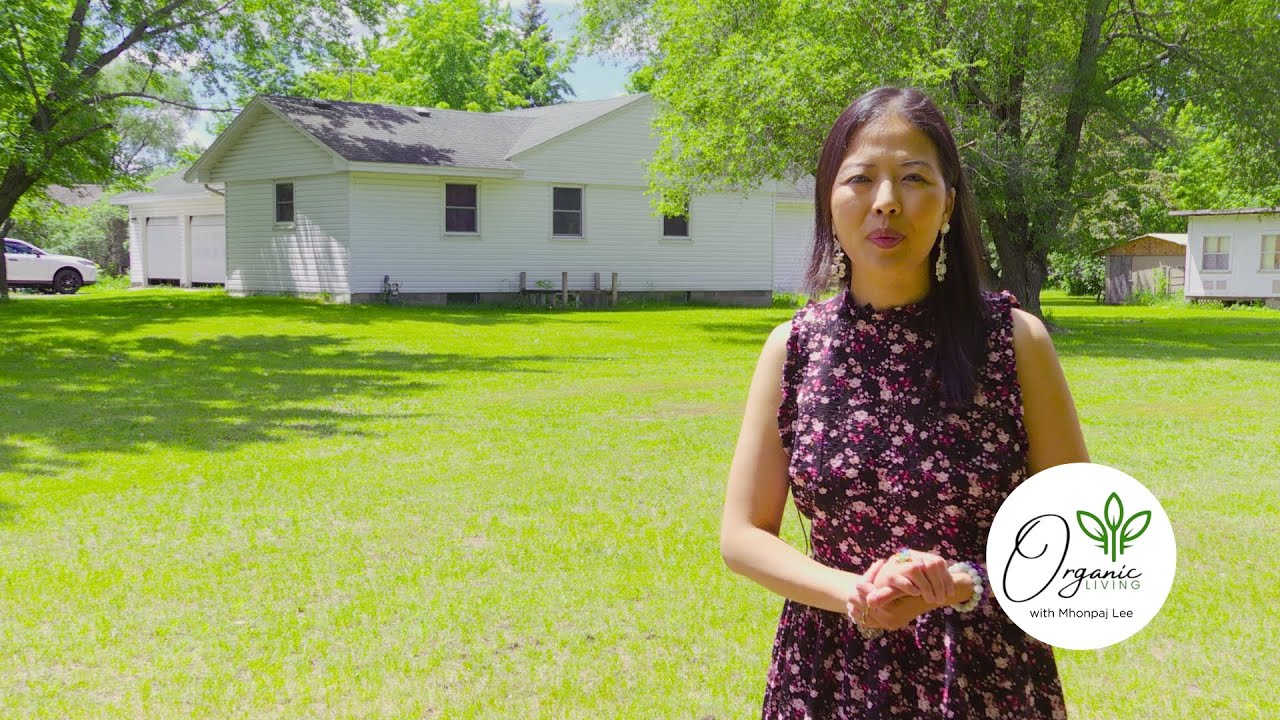3HMONGTV Organic Living with Mhonpaj Lee. Ep2. Contact Mhonpaj if interested in this property.