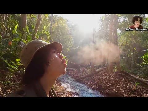 บรรยากาศการอยูู่ป่า….!! ทำอะไรบ้าง…  [ โจโฉ ]