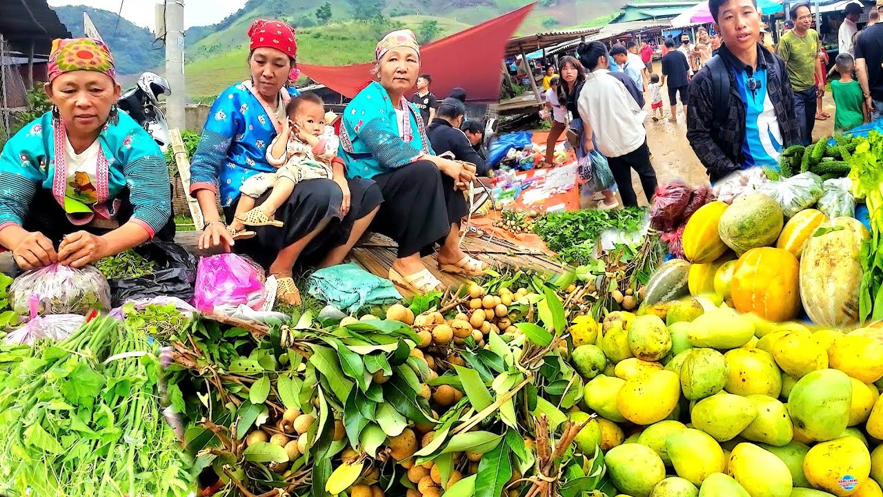 NCIG KIAB HMOOB TOJ SIAB 6/2024