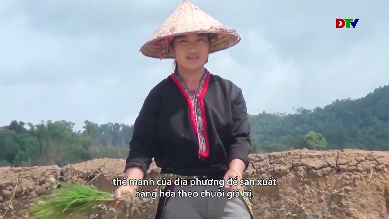 ĐIỆN BIÊN – Xov tooj cua lus Hmoob Dien Bien (Hnub 15-07-2024)