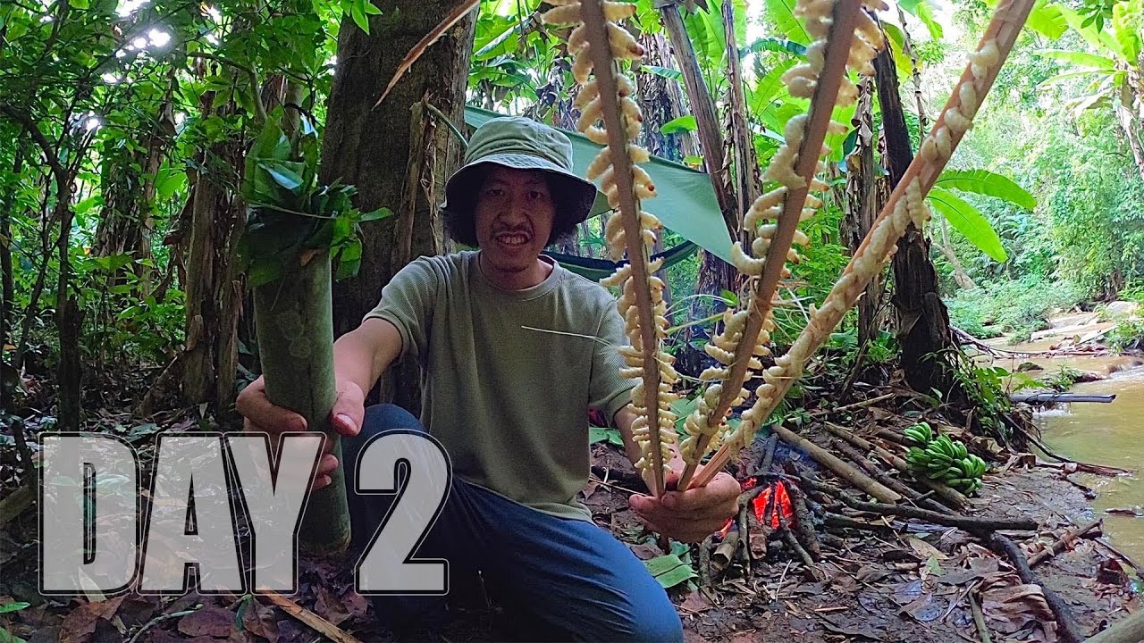 ใช้ชีวิตในป่า 7 วัน 7 คืน  Ep.2  ฝนตกหนักจนกินน้ำไม่ได้ ตามหาอาหารในป่ารกกลางเขา … [ โจโฉ ]