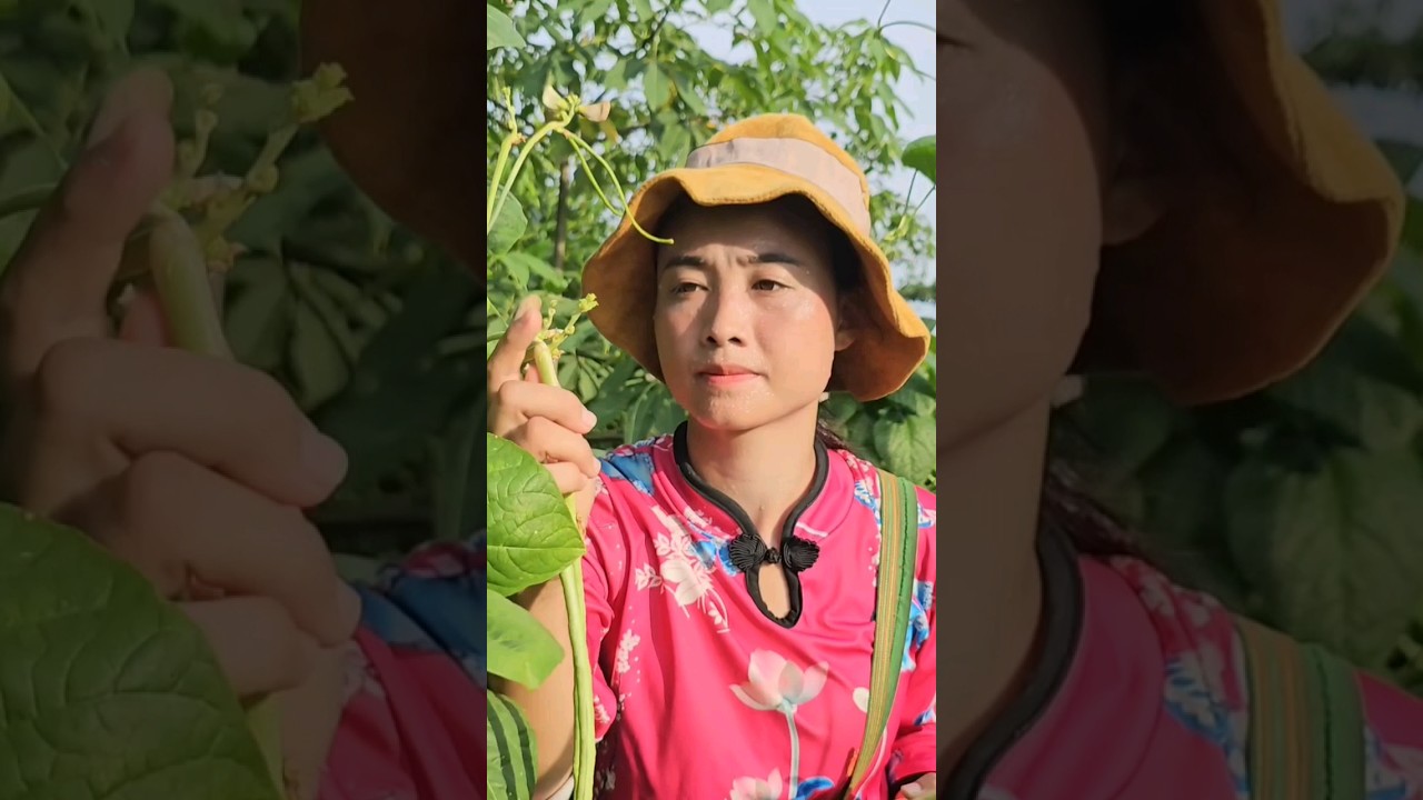 Single mother’s life changed since the appearance of a kind man – happiness | anh hmong – ly tay