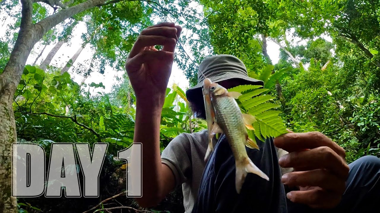 ใช้ชีวิตในป่า 7 วัน 7 คืน  Ep.1  เริ่มต้นการผจญภัย… หาที่พักและหาอาหาร  [ โจโฉ ]