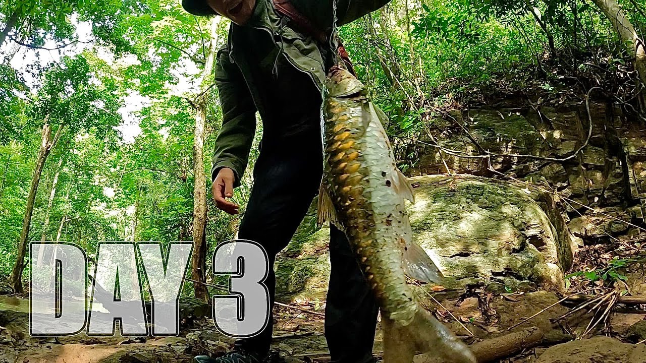 ใช้ชีวิต 7 วัน 7 คืน Ep.3  อาหารป่ามื้อใหญ่ การออกไล่ล่าเนื้อปลาตามน้ำตก…!! [ โจโฉ ]