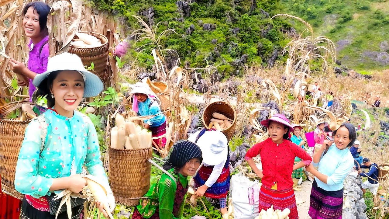 NCIG MUS TOJ SIAB HMOOB NTAIS POB KWS TEB HAV POB ZEB THIAB ZEJ ZOG 2024