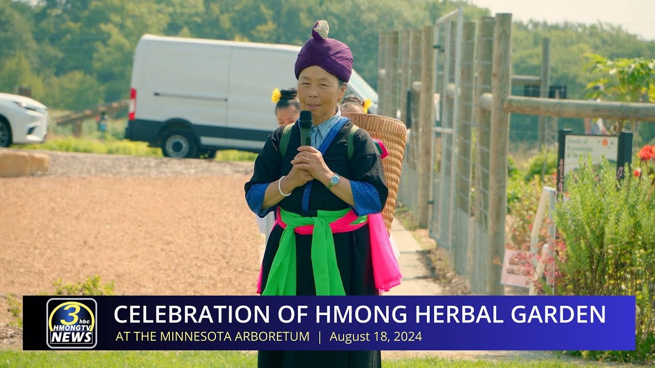 3HMONGTV Newsbrief | August 19, 2024 – Hmong herbal garden at the Minnesota Arboretum.